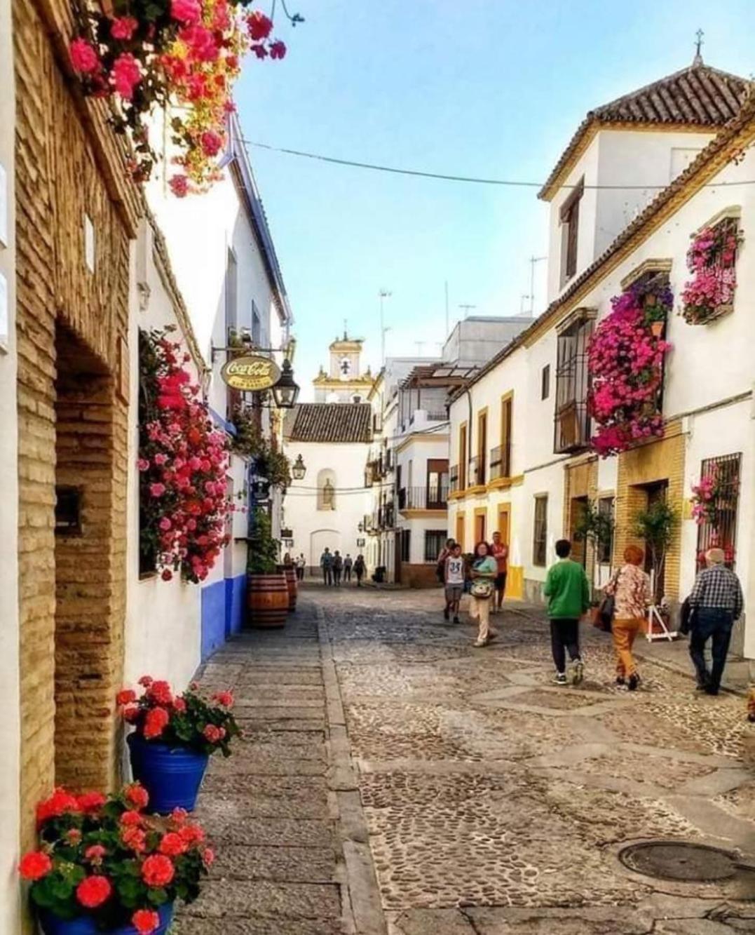 Apartamento Piedra Escrita コルドバ エクステリア 写真